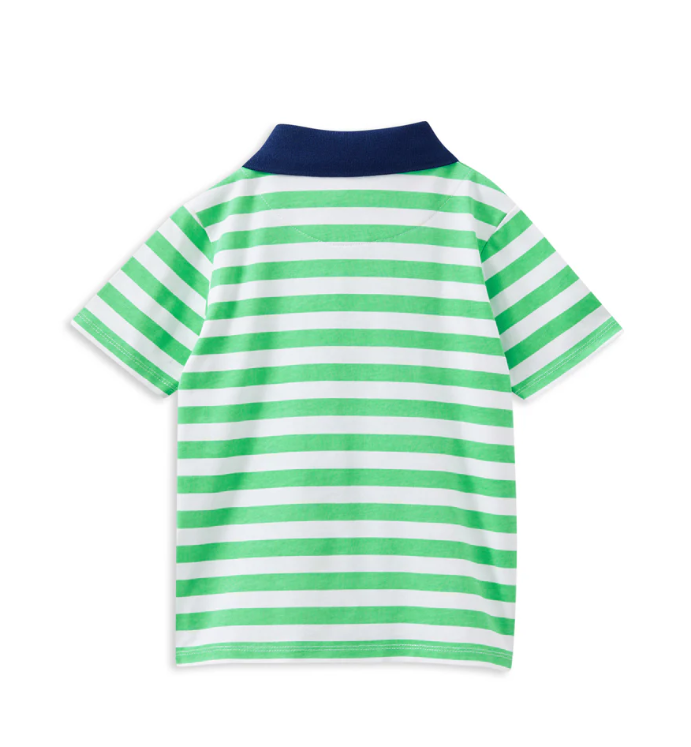 Green Stripe Polo