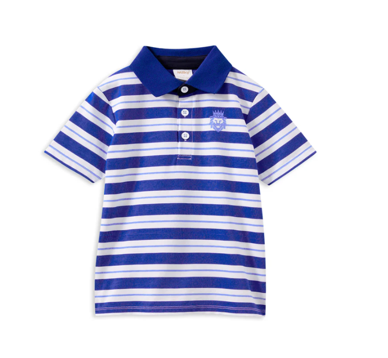 Blue Stripe Polo Shirt