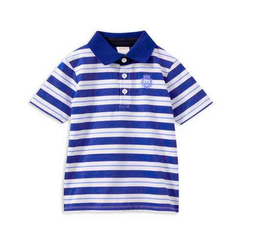 Blue Stripe Polo Shirt
