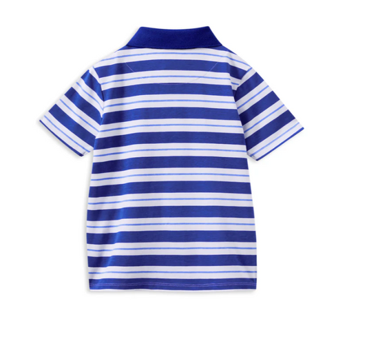 Blue Stripe Polo Shirt