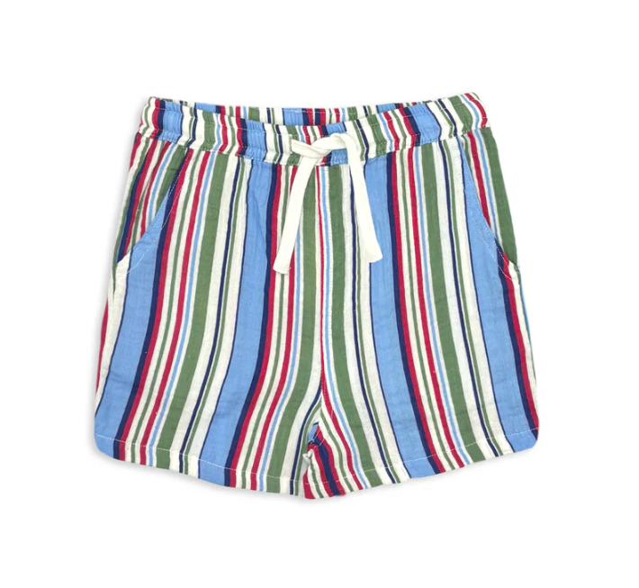 Blue Stripe Crinkle Shorts