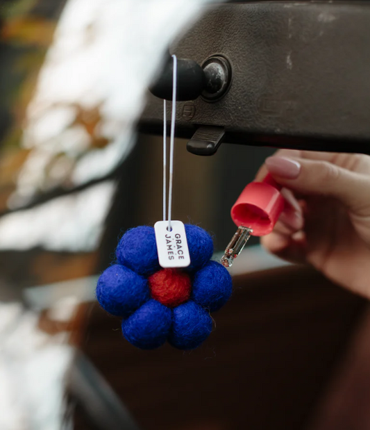 Bloom Air Freshener - Raspberry & Pomegranate