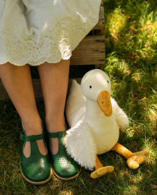 Snowy the Goose