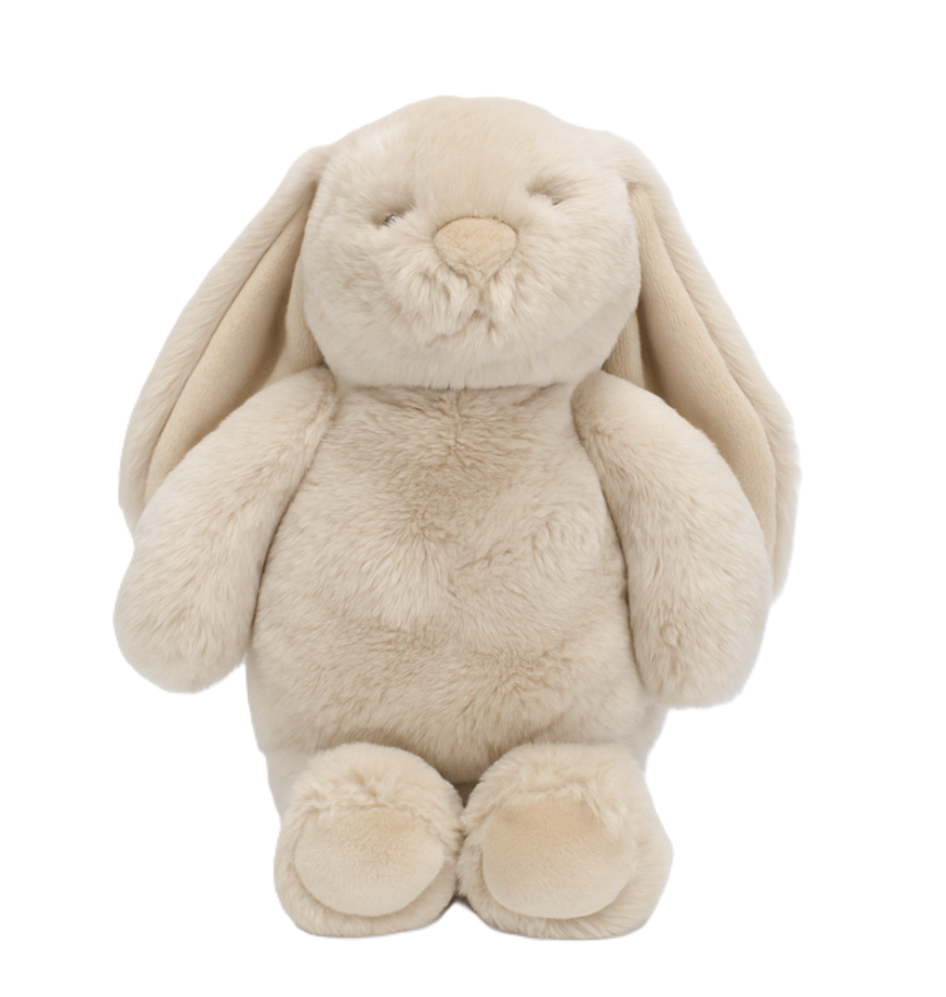 Flopsy Bunny Biscuit