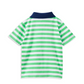 Green Stripe Polo