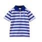Blue Stripe Polo Shirt