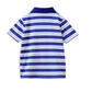 Blue Stripe Polo Shirt