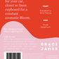 Bloom Air Freshener - Wild Rose & Blackberry