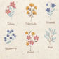 Posy Embroidered Windcheater
