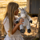 Diego the Donkey