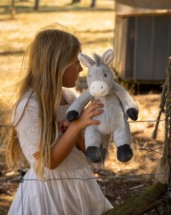 Diego the Donkey