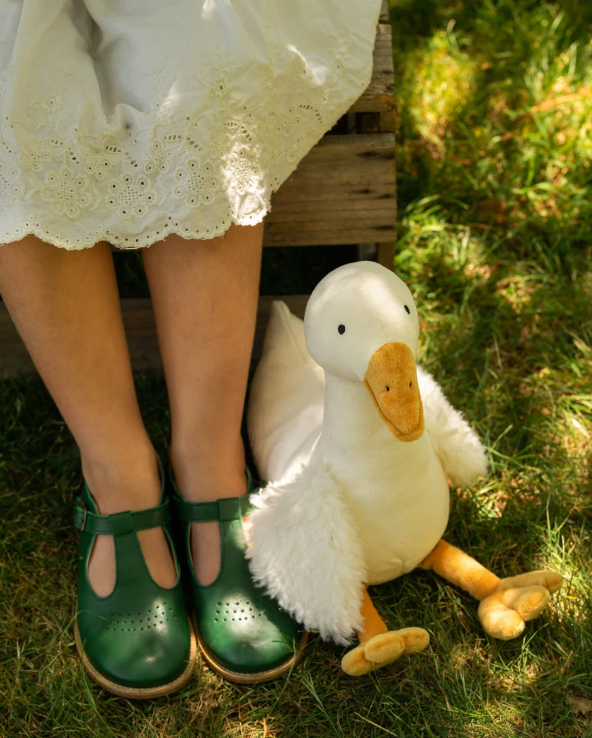 Snowy the Goose