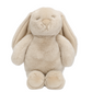 Flopsy Bunny Biscuit