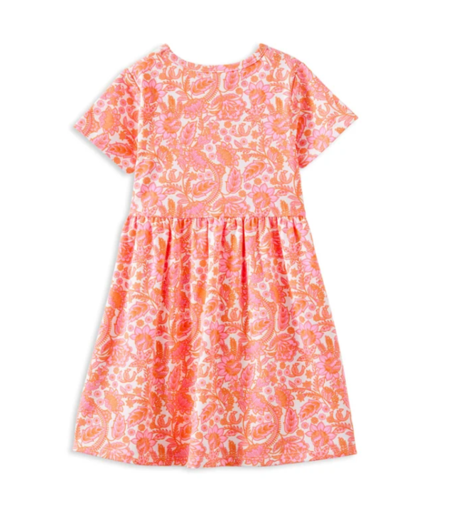 Wild Paisley Dress