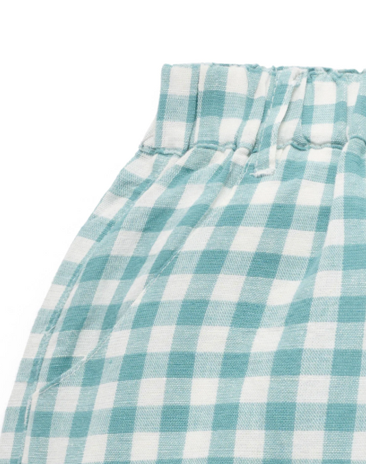 Kingfisher Gingham Shorts
